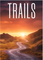 Virtual Book Writing